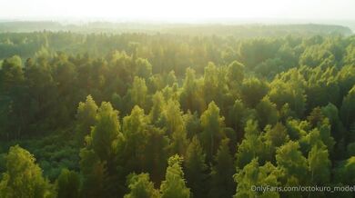 Octokuro WolfGirl Will Lure Into The Deep And Dark Woods