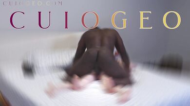 Cuiogeo Allicatcollared D6P2