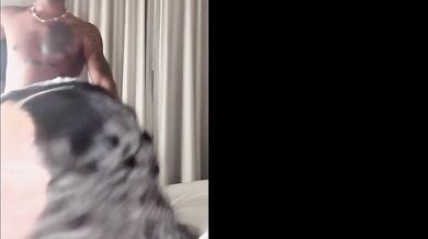 Briellah × Anton harden