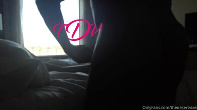 Thedesertvixen