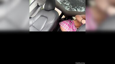 Vietbunny, Asian Teen Schoolgirl Getting Creampied in Car Backseat Onlyfans Video Leaked