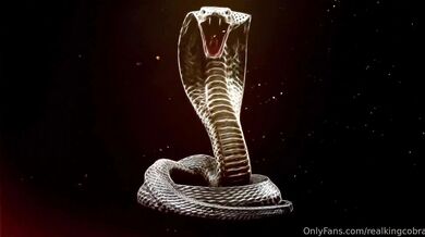 King cobra × Addyson James - Giving the king the royal treatment