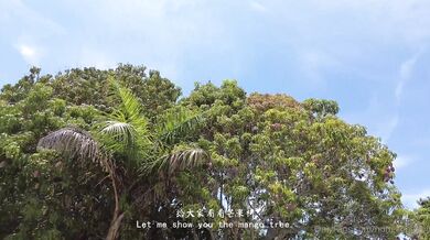 Hongkongdoll, Hong Kong Asian Teen Public Restroom Sneaky Play Onlyfans Video Leaked