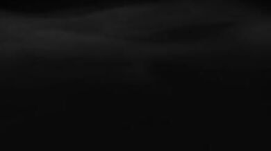 BoswellBlack × Lalatada