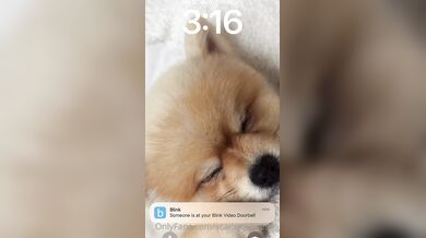 Scarlettkissesxo, Horny Blonde Fucking The Handyman Onlyfans Video Leaked