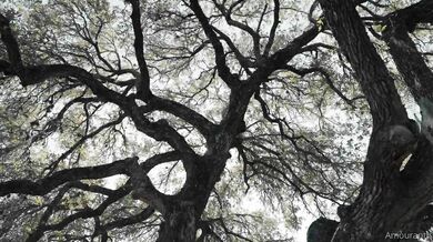 Amouranth, Jessica Nigri, Two Hot Devil Girls Model Photoshoot Onlyfans Video Leaked