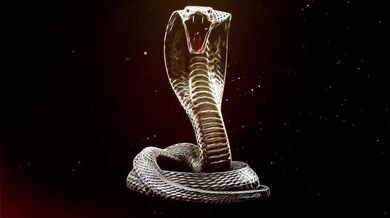 RealKingCobraXXX – I Love Being A King Cobra Slut Pink Infanity Cock Worships The Cob
