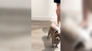 Scarlettkissesxo, Blonde Babe In Skirt Fucks The Fedex Delivery Guy Onlyfans Video Leaked