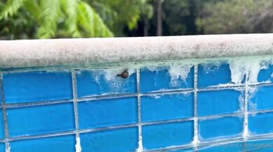 Utahjaz, Doggystyle Wet Sex In The Pool Onlyfans Video Leaked