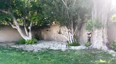 Spiraling Spirit, Elf Spirit BG Sextape Onlyfans Video Leaked