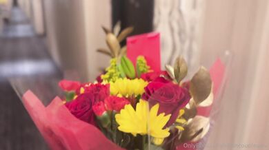 Elle Lee, Happy Chinese New Year Hotel Fuck Onlyfans Video Leaked