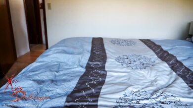 Xev Bellringer, Shut Up And Fuck Me Good Onlyfans Video Leaked