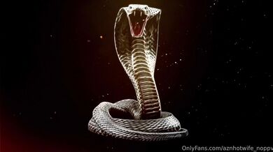 Aznhotwife × King cobra