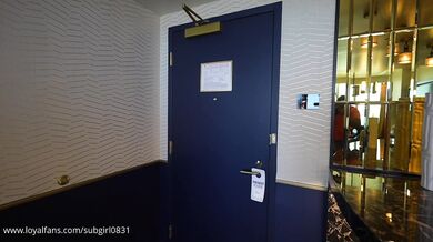 MusaPhoenix Vs Subgirl