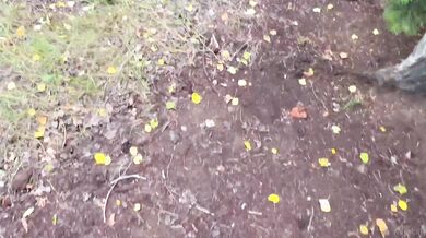 Mini Lilly, Fucking Outdoors At The Back Of The Car Onlyfans Video Leaked
