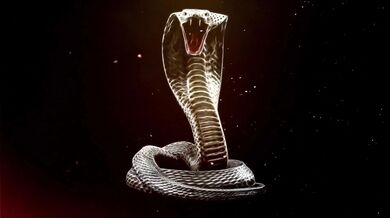 King cobra × Katrina Thicc - The Venom