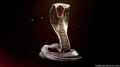 Real king cobra and hotwife annabelle