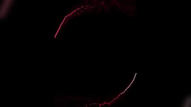 The Flourish Fetish - Dizzy And Lucien