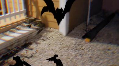 eliselondon - Halloween Holes My Pussy and Asshole bounce on BBC