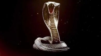 Insatiable Karla × King Cobra - Pussy pump hotel Hookup