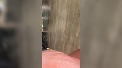 Alyx Star, Lena Paul, Coralia Baby, Troy Francisco, Three Ladies With Big Tits Boobjob Onlyfans Video Leaked