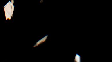 DrewAndElena × Bishop Kane