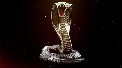 Southernbullryder × king cobra
