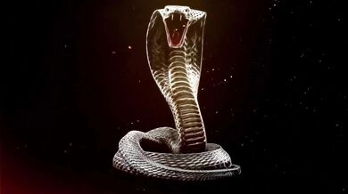 SexxySoccerMom × king cobra