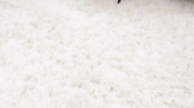 Rebecca Linares, Mighty Dee, Thicc Babe Getting Pounded By Black Stud Onlyfans Video Leaked