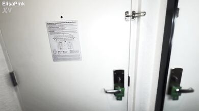 Elisa Pink, Maid Service for Thick Black Cock