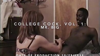 Janet Mason × Mr big - Collage cock vol 1