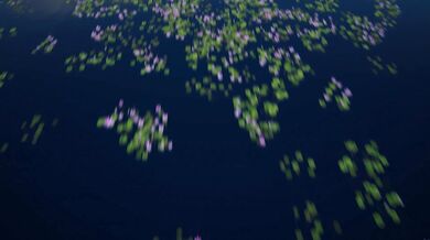 Ember Snow, Yoshibaby, Two Hot Asian Lesbian Sluts Pussy Grinding Onlyfans Video Leaked