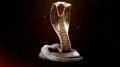 Lovely Nikki × King Cobra - A sexy Valentine's with Lovely Nikki