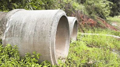 Sweetie Fox, Redhead Fallout  Slut Amazon Fucking A Stranger For Human Race Onlyfans Video Leaked