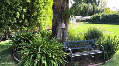 Hailey Rose, Max Fills, Fucking A Nymph Fairy For The First Time Onlyfans Video Leaked