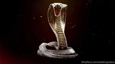 Katrina Thicc × King Cobra - A match made in heaven 3