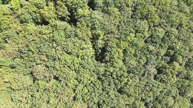 Agatha Vega, Hot Supermodel Forest Masturbation For Nature Onlyfans Video Leaked