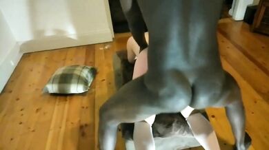 RealCuckolding aka TheBitchWife - BBC tag team spitroast