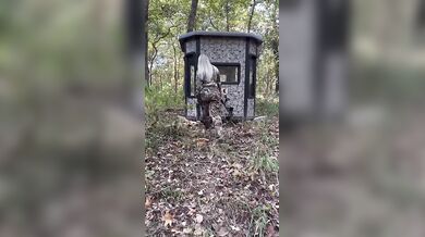 Kacey Kay, Getting Creampied In The Outdoor Deer Blind Onlyfans Video Leaked