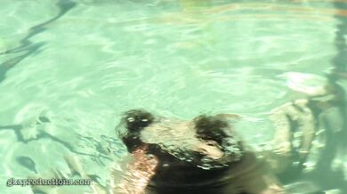 Sadie Holmes, Underwater Blowjob In The Backyard Pool Onlyfans Video Leaked