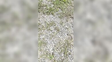 Friskytwins, Hot Frisky Twins Lesbian Fucking In Nature Onlyfans Video Leaked