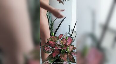 BitchinBubba, BralessForever, Rocky TikTok Plant Hack Onlyfans Video Leaked