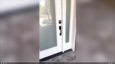 Lexis Wilson, Riding Her Delivery Guy Till He Cums Inside Me Onlyfans Video Leaked