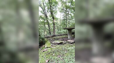 Eva Lovia, Risky Clit Rubbing Masturbation In Nature Onlyfans Video Leaked