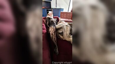 Ellygirl, Four Lesbian Sluts Cunnilingus Play On The Couch Onlyfans Video Leaked