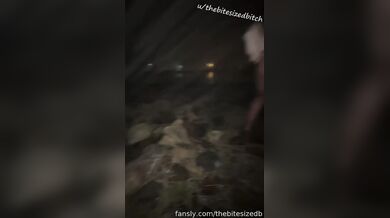 Thebitesizedbitch
