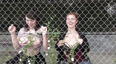 Haylee_Love, Tiggerrosey, Two Lesbian Chicks Moving Around Town Naughty Teasing Onlyfans Video Leaked