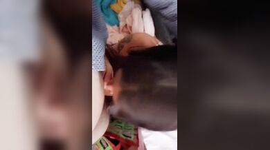 Miminafell, French Girl Sloppy Blowjob For Lover Onlyfans Video Leaked
