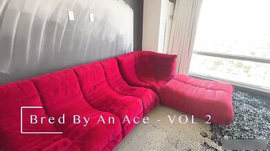 SuzanneHolly × AceHardz - Bred By An AceHardz Vol 2