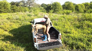 Phantom Hotwife, Southern Bull Ryder, Poppichulo34, Southern Hotwife Fucks a BBC Black Bull Behind a Truck In The Open Fields Onlyfans Leaked Video